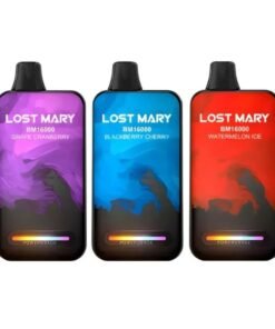 LOST MARY BM 16000