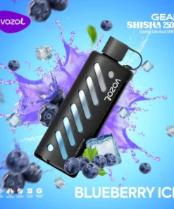 VOZOL GEAR SHISHA 25000 PUFFS DTL VAPE